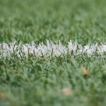 Photo of artificial grass